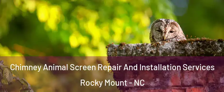  Chimney Animal Screen Repair And Installation Services Rocky Mount - NC