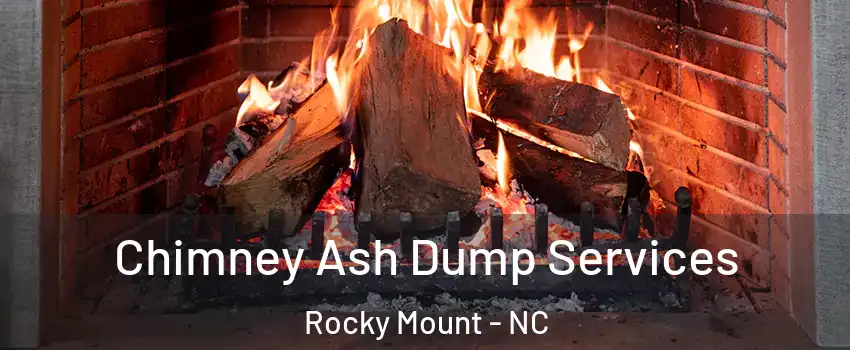  Chimney Ash Dump Services Rocky Mount - NC