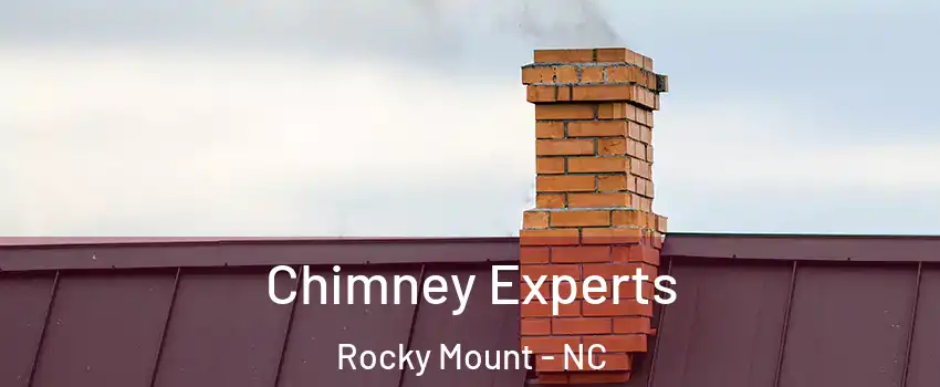 Chimney Experts Rocky Mount - NC