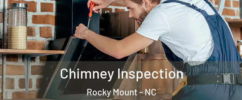  Chimney Inspection Rocky Mount - NC