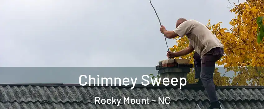  Chimney Sweep Rocky Mount - NC