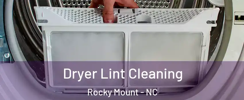  Dryer Lint Cleaning Rocky Mount - NC