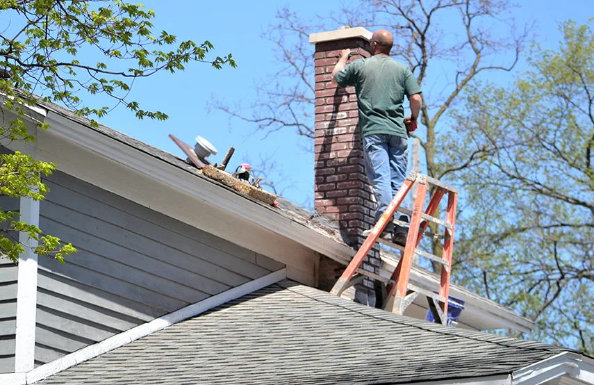 Chimney & Fireplace Inspections Services in Rocky Mount, NC