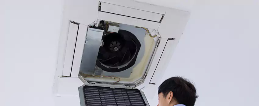 Benefits of Professional Air Duct Cleaning in Rocky Mount, North Carolina