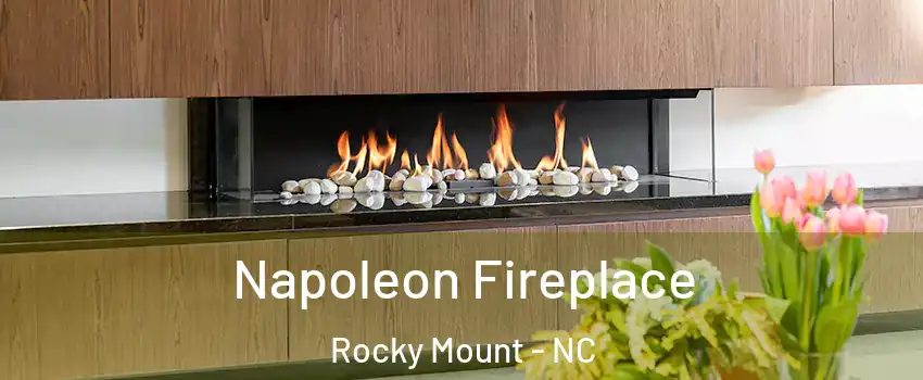  Napoleon Fireplace Rocky Mount - NC